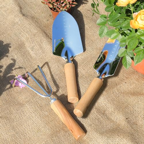 Garden Tool Set, 10 Piece Kit with Heavy Duty Folding Stool, Detachable Storage Tote Bag, Stainless Steel Tools, Gifts for Women Men Green