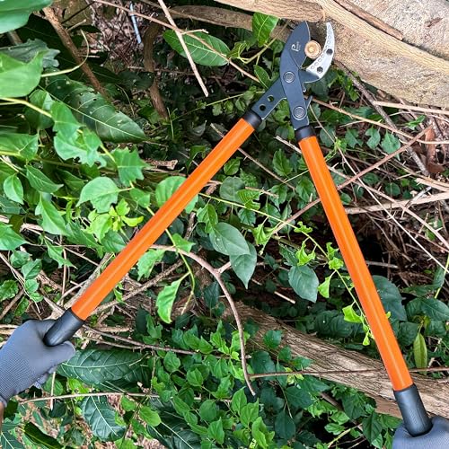 Anvil Lopper 29 Inch with Geared Sync Drive, Pruners for Gardening and Tree Trimmer, Branch Cutter Heavy Duty for 2 Inch Cutting Capacity, Chops with Ease
