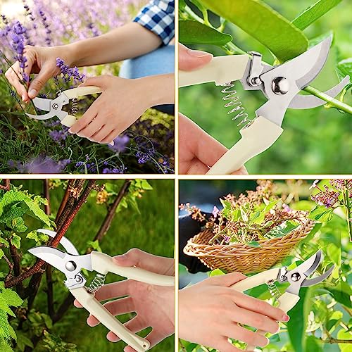 Therwen 12 Pcs Garden Shears Flower Scissors Pruning Shears Floral Garden Clippers Hand Pruners Branch Cutter Gardening Tools for Plants Cutting, Trimming, Fruits Picking (Beige,Bypass) Beige, Bypass