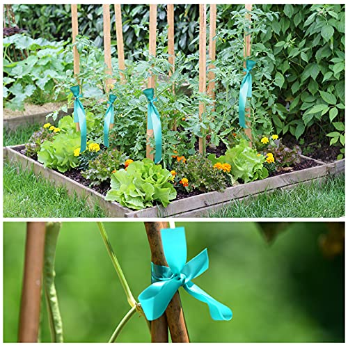 TELENT OUTDOORS Stretch Tie Tape, 1” Wide 200FT Reusable Garden Plant Ties Green Tapes for Plants, Thick Garden Vinyl Stake Ribbon for Branches Flowers Tomatoes Indoor Outdoor Greenhouse (Pack of 3) 200FT (Pack of 3)