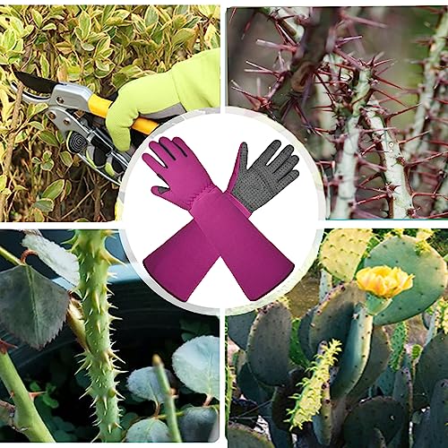 Ultra Sharp Germany Steel Pruning Shears & thorn proof gardening gloves