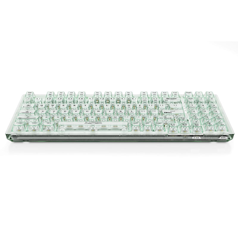 HUO JI Mechanical Gaming Keyboard USB Wired Compact with Clear Keycaps, RGB Side-Lit, Single Led Backlit, Number Pad, White Switch, Detachable Type C Cable, 94 Keys for PC/Computer/Laptop