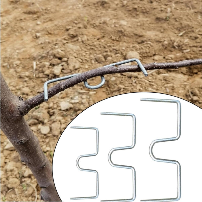 Pack of 24 Branch Supports for Fruit Trees, 13/10/8 cm Branch Spreader M for Fruit Trees, Metal, for Fruit Trees, Bonsai, Slanted Trees, Trees, Tomato Hooks, Robust Tomato Hooks, Branch