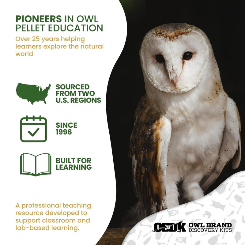 Barn Owl Pellets Classroom 10 Pack (Medium) – Dissection Kit for Ecology & STEM – Includes Forceps, Picks & Teacher Guide – Hands-On Science Activity