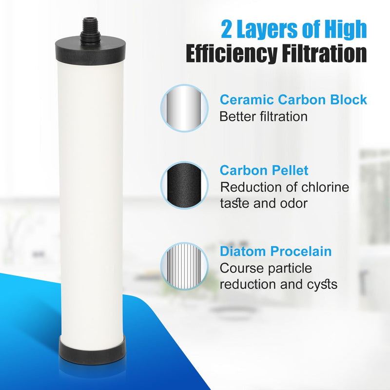 FRC06 Filter Cartridge, FRC06 Filter Replacement for Franke Water Filter, Filters Compatible with Franke FRCNSTR/FRC06 and FRCNSTR100/FRC06FRC06 Filters (2 PACK） 2 PACK