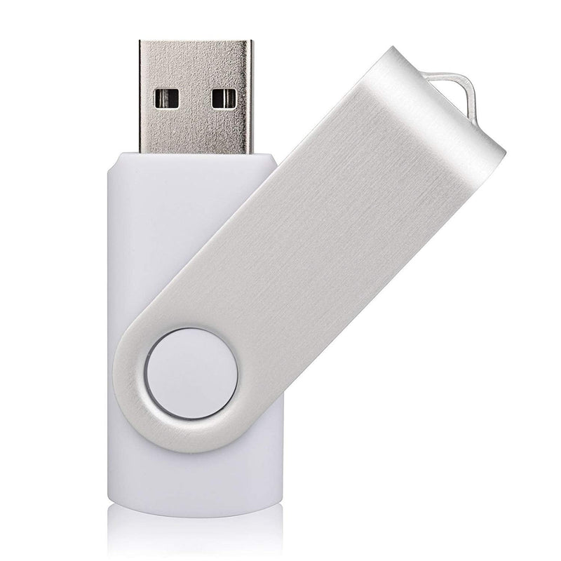 Aiibe 10 Pieces 32GB USB Flash Drive 10 Pack USB 2.0 Memory Stick Thumbdrives (Mix Colors : Black Blue Red Green Orange White Yellow Pink Purple Silver) 10 Mixed Colors