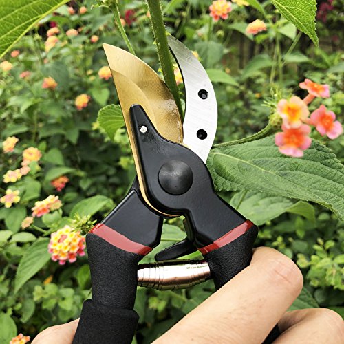 gonicc 8" Professional Ratchet Anvil Pruning Shears (GPPS-1011) and Premium Titanium Bypass Pruning Shears (GPPS-1003), Ratcheting Mechanism, Anvil Groove Design, Garden Shears Clippers, Anvil Pruner,