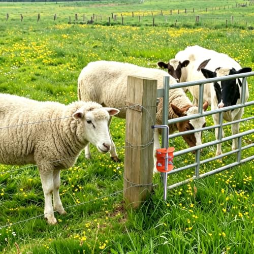 17-Inch Heavy Duty Gate Anchor Cane Bolt, Spring Loaded Galvanized Steel Drop Rod for Farm & Garden Gates - Anti-Sag Security Latch Prevents Wobbling, 1-Pack