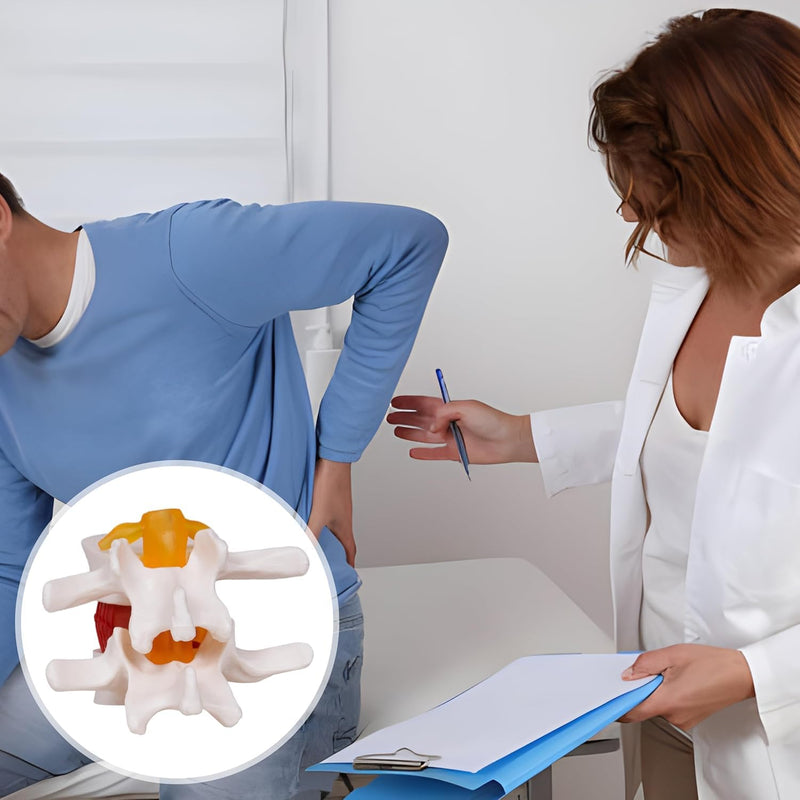 NLShan Human Anatomical Lumbar Disc Herniation Model, Portable Herniated Lumbar Vertebrae Disc, 1.5 Times Life Size Lumbar Spine Model for Learning, Teaching and Demonstrating Lumbar Disc Herniation Model-01
