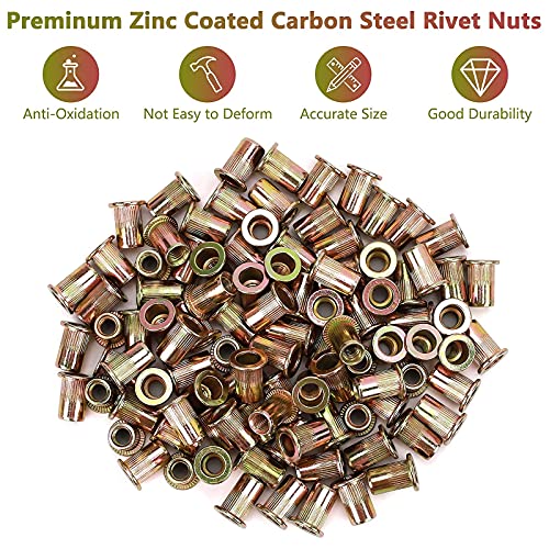 100pcs M6 Rivet Nuts, M6 Flat Head Rivnut Threaded Insert Nuts with Knurled Body, Metric Zinc Plated Carbon Steel Insert Nutsert for Automotive, Furniture, Decoration Brand: PRECIHW (Pack of 2) M6 (Pack of 2)
