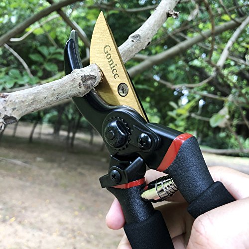 gonicc 8" Professional Ratchet Anvil Pruning Shears (GPPS-1011) and Premium Titanium Bypass Pruning Shears (GPPS-1003), Ratcheting Mechanism, Anvil Groove Design, Garden Shears Clippers, Anvil Pruner,