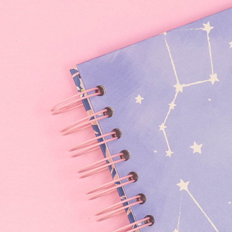 Craftelier - Set of 2 Double Ring Spiral Binders for Albums, Notebooks, Diaries or Calendars | Ideal for Scrapbooking and Other Crafting Projects | Ø 3.81 cm (1.5") - Baby Pink Colour