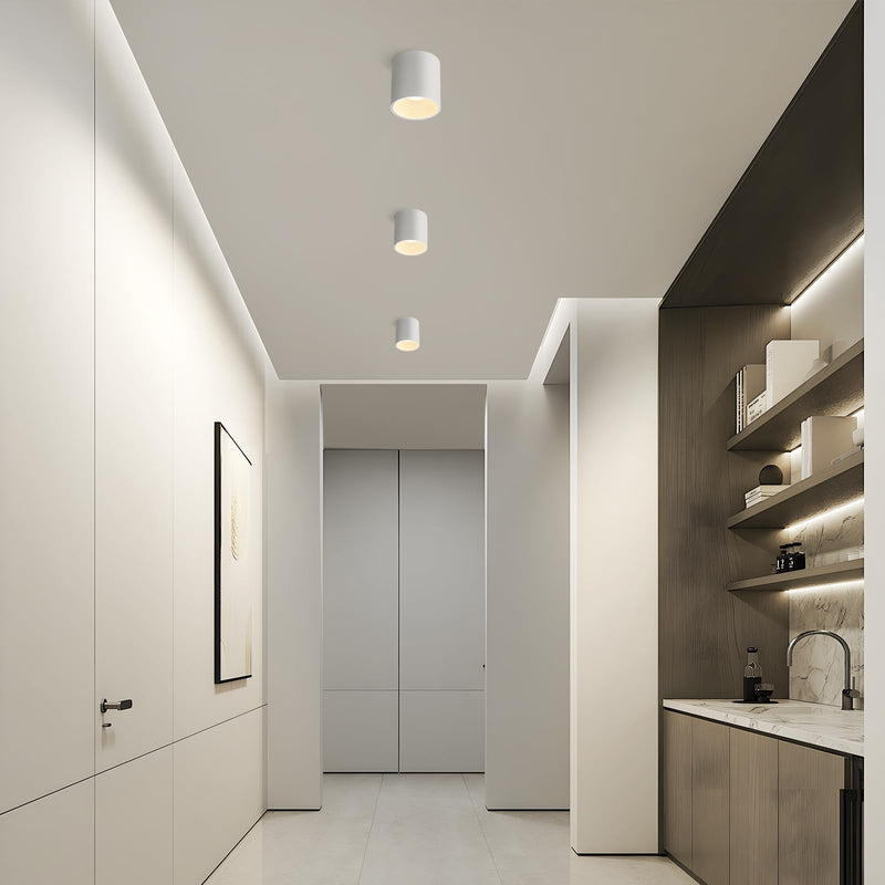 Ceiling Light Fixture LED Dimmable Modern Ceiling Spot Light, Flush Mount Ceiling Light 4.72'' Cylinder Ceiling Lamp for Living Room Hallway Foyer Dining Room 3000K 15W 1500lm CRI 90 (White) White