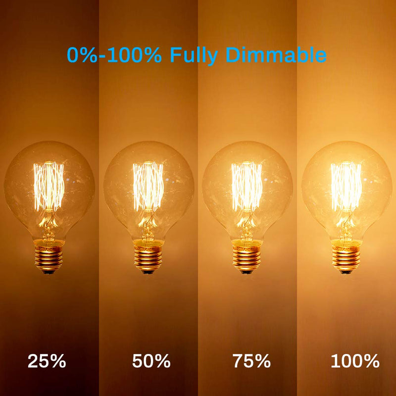 Edison Incandescent Light Bulbs 60 Watt, G25(G80) Vintage Light Large Bulb, 6-Pack Globe Bulbs 2100K Warm White, E26 Medium Base Dimmable, 240 Lumens Filament, Vanity Light Bulbs for Bathroom Amber Glass-2100k 6 Count (Pack of 1)