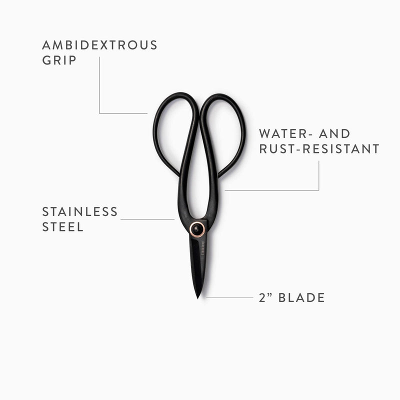 Barebones Artisan Pruning Shears - Gardening Shears and Herb Scissors - Essential Gardening Tools for Herb Gardens and Planting - Rust-resistant Garden Clippers