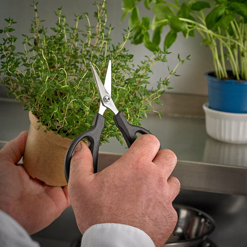 Mercer Culinary Herb Snips, 6 1/2-Inch Herb Snips 6.5 Inch
