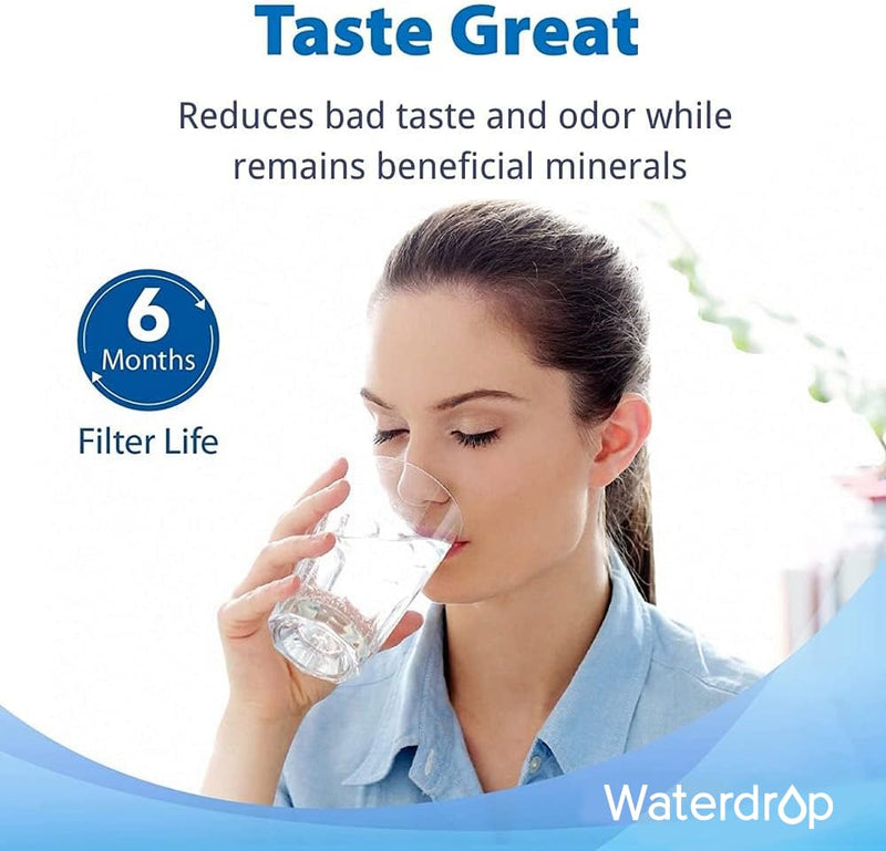 Waterdrop 4035 Faucet Water Filter, Replacement for Aquasana® Filter Replacement, AQ 4025, AQ-4035®, Will Fit AQ4000, AQ4050, AQ4500 Drinking Water Systems, 2 Pack