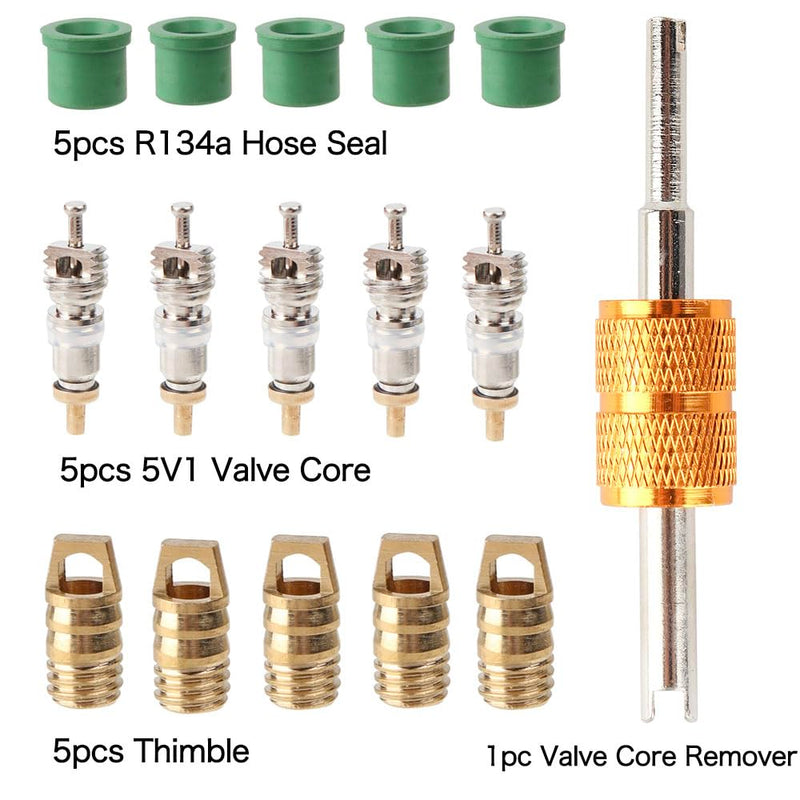 R410a Adapter for Mini Split System, Charging Vacuum Port Adapter, 5/16 Female 1/4 Male Flare, Valve Core Remover, r134a Hose Gaskets, 5V1 Valve Cores, for Air Conditioners Refrigeration HVAC Service