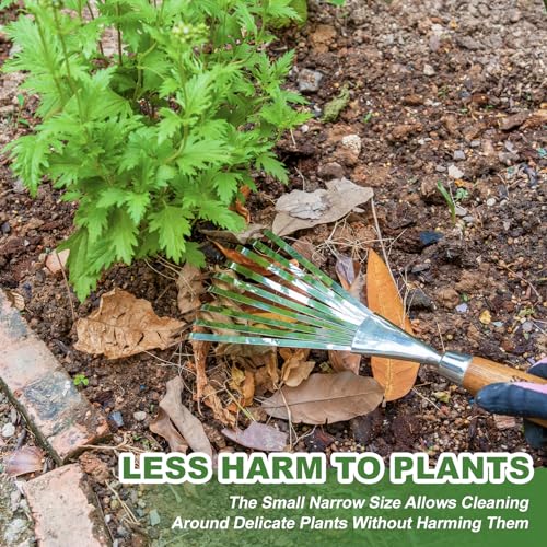 Haliaeetus Gardening Sickle Hoe, 14.6'' Small Hand Rake for Tight Areas, 9 Tines Stainless Steel Garden Rake with Ergonomic Wood Handle for Clearing Leaves and Loose Debris in Flower Bed