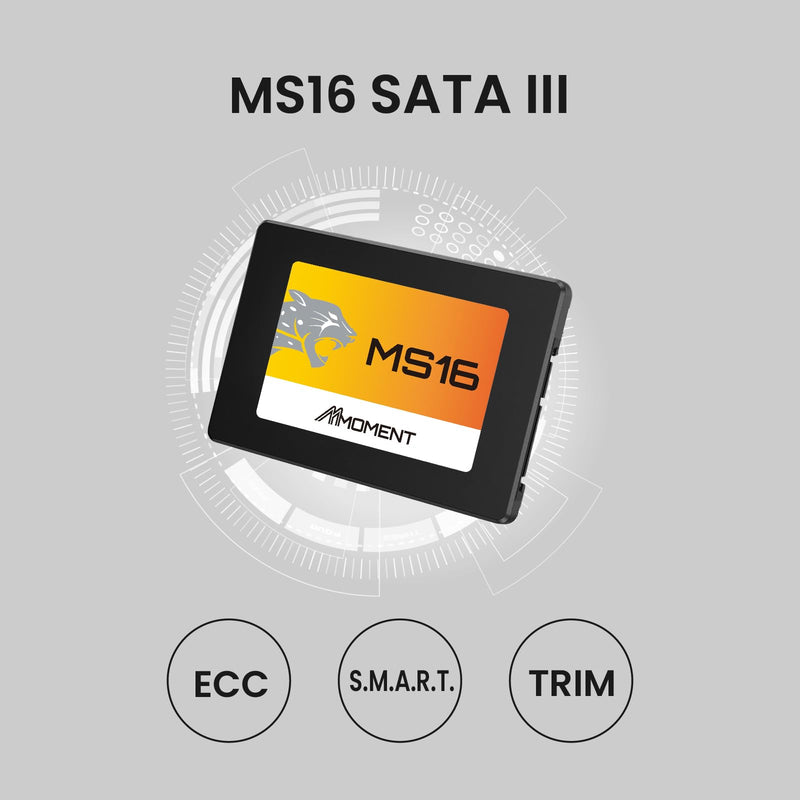 MMOMENT MS16 1TB 2.5 Inch SATA III 6 GB/s Internal Solid State Drive SSD (Read up to 550MB/s) Compatible with PC Desktop 2.5 in
