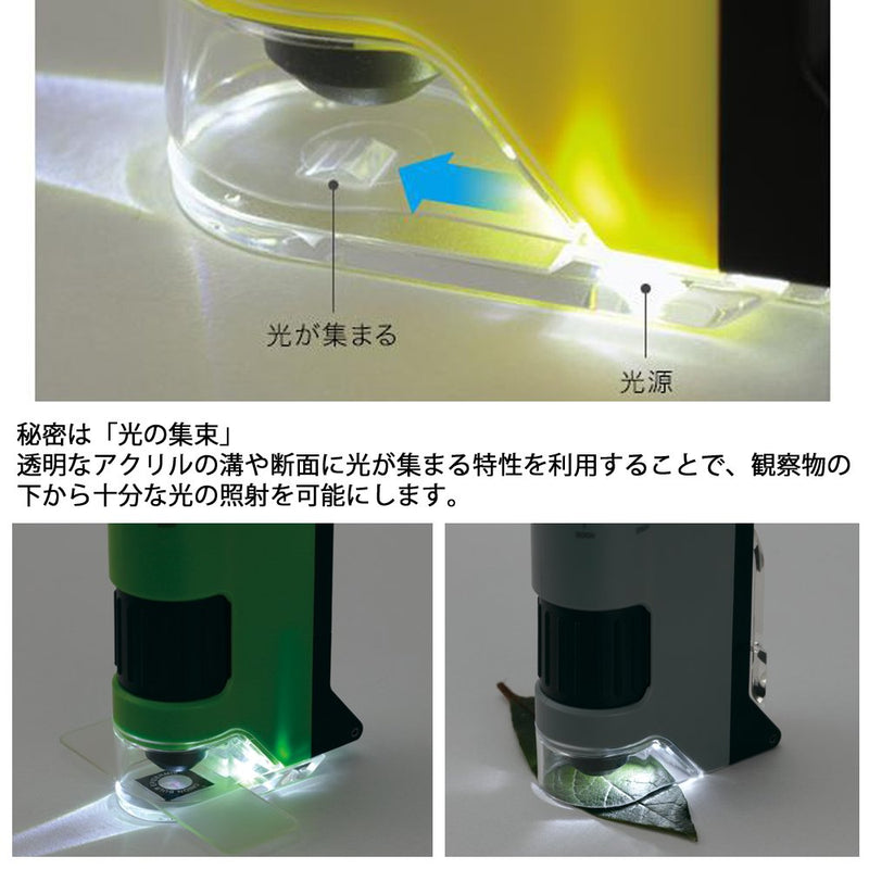 Raymei Fujii RXT300Y Handy Microscope DX Yellow Existing Product