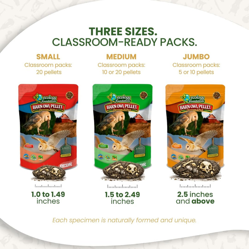 Barn Owl Pellets Classroom 10 Pack (Medium) – Dissection Kit for Ecology & STEM – Includes Forceps, Picks & Teacher Guide – Hands-On Science Activity