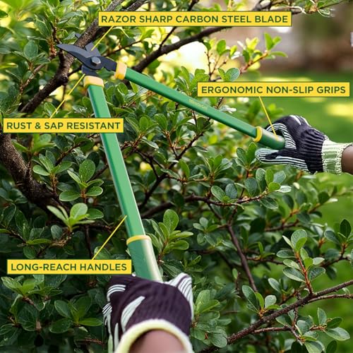 Miracle-Gro 24 in. Bypass Lopper for Tree Branch Trimming and Pruning – Heavy-Duty Branch Cutter with Ultra-Sharp Carbon Steel Blade, 1.5 in. Cutting Capacity and Comfort Grip Handles Bypass Lopper 24"