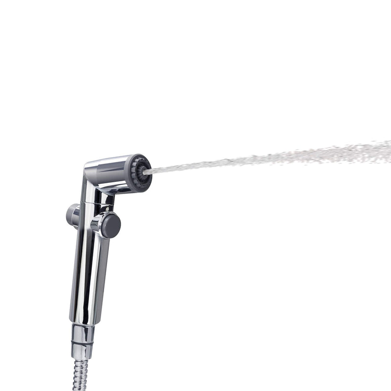 Brondell CS-30 CleanSpa Hand Held Bidet, Chrome