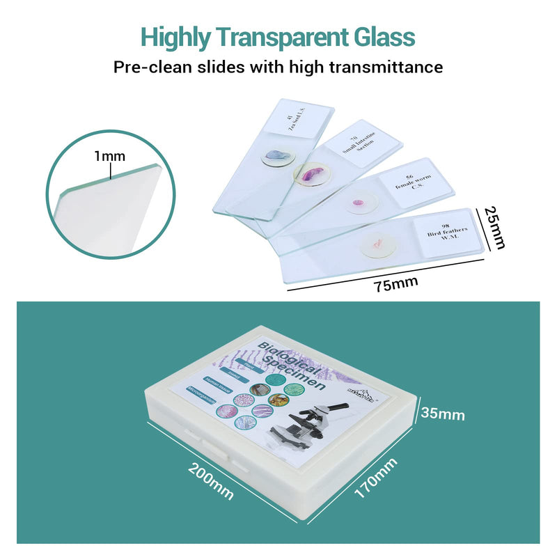 100 Microscope Slides with Specimens for Kids and Adults, Prepared Microscope Slides with Plants Animals Insects for Students Homeschool Edu 100Pcs