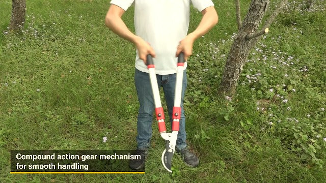 Eden 39021 Telescoping Bypass Lopper