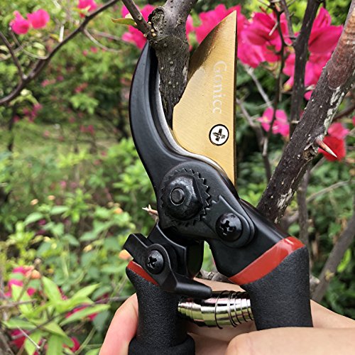 gonicc 8" Professional Ratchet Anvil Pruning Shears (GPPS-1011) and Premium Titanium Bypass Pruning Shears (GPPS-1003), Ratcheting Mechanism, Anvil Groove Design, Garden Shears Clippers, Anvil Pruner,