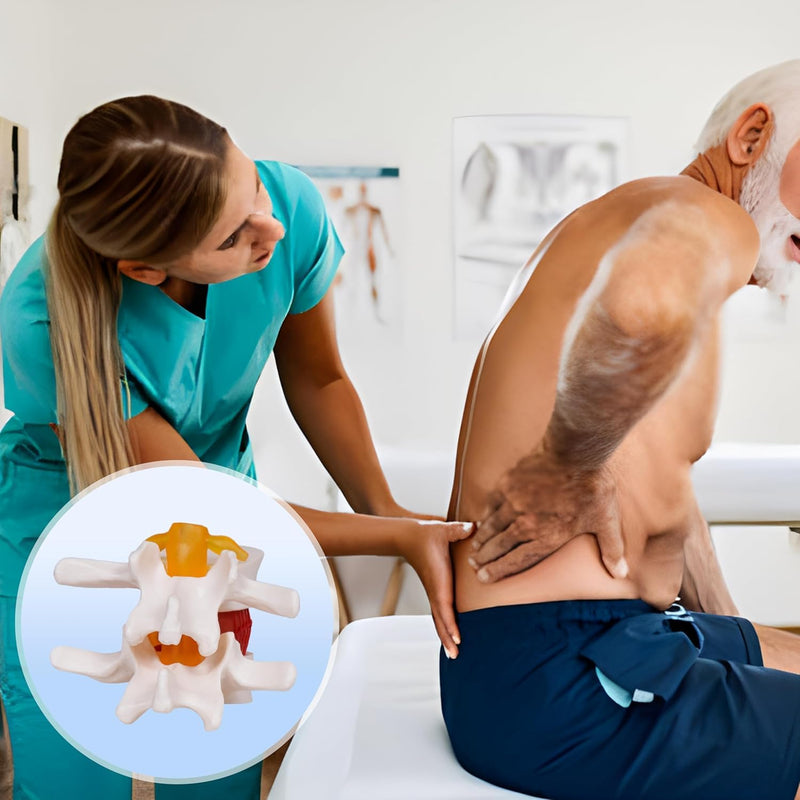 NLShan Human Anatomical Lumbar Disc Herniation Model, Portable Herniated Lumbar Vertebrae Disc, 1.5 Times Life Size Lumbar Spine Model for Learning, Teaching and Demonstrating Lumbar Disc Herniation Model-01