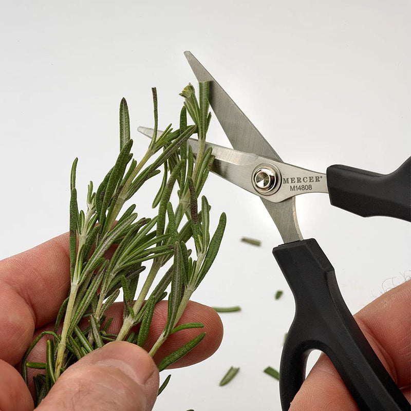 Mercer Culinary Herb Snips, 6 1/2-Inch Herb Snips 6.5 Inch