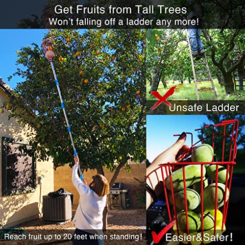 DonSail DnSail Fruit Picker Pole Tool with Basket Telescoping - Adjustable Mango Picker 35-68 inch Long Handle - Apple Orange Avocado Acorn Lemon Pear Pomelo Chery Picker for Tree 35-68"