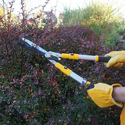 Centurion 75 Upgraded Telescoping Hedge Shears with 9-inch Wavy Blade and Extendable Handles for Trimming Borders, Shrub, and Tall Bushes (Length from 26" to 32")