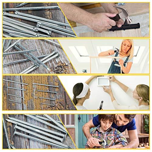 KURUI 700PCs Nails Assortment Kit & 8oz Hammer, Small Hammer for Hanging Wall Art Decor, Picture Frame, 350 Roofing/Wall Nails & 350 Finishing Nail