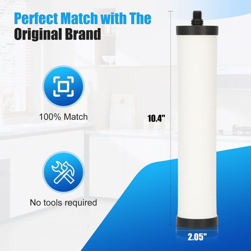 FRC06 Filter Cartridge, FRC06 Filter Replacement for Franke Water Filter, Filters Compatible with Franke FRCNSTR/FRC06 and FRCNSTR100/FRC06FRC06 Filters (2 PACK） 2 PACK