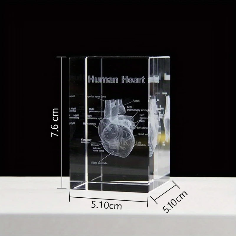Anatomical Gifts 3D Representation of Heart for Medicine & Decoration | Crystal Glass Model Durable Teaching Aid for Dentists/Students Paperweight Compact for Practice & Decoration ‎Herz