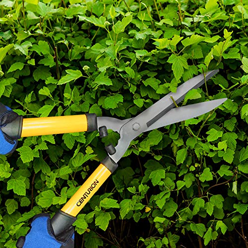 Centurion 511 Hedge Shears with 8 Inch Blade