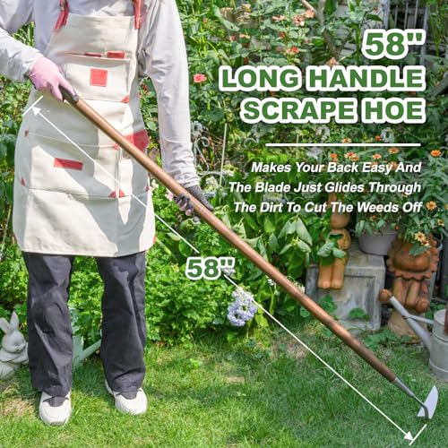 Seeding Widger, 58'' Long Handle Japanese Hand Hoe for Standing to Remove Weed, Stainless Steel Scraper Hoe, Bent Angle Weeding Sickle for Fastly Scraping Out Weed on Flower Bed, Between Plants