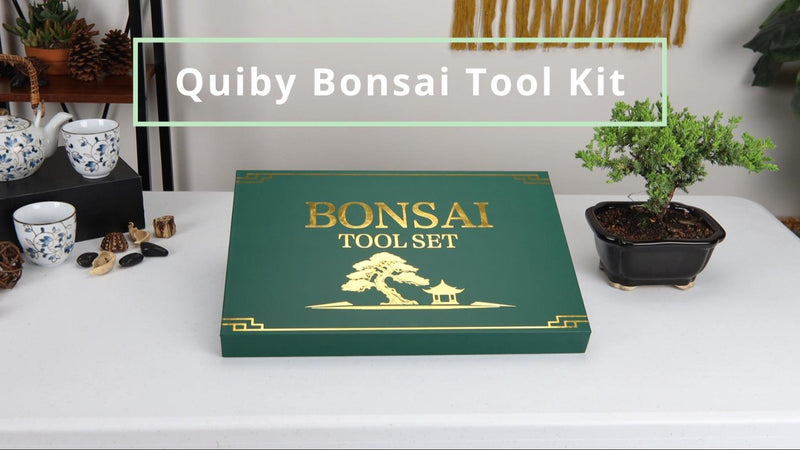 Bonsai Tool Kit 4PCS with Tool Roll Bag & Luxury Gift Box, Bonsai Tools Set 4-Piece Set