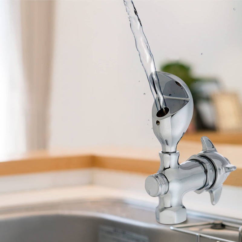 Homewerks Worldwide 3310-150-CH-B-Z 1/2" FPT Water Bubbler