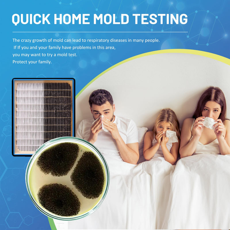 Mold Test Kit for Home,14 Simple Detection Tests,Test HVAC System,Home Surfaces, Indoor Air Quality Testing,DIY Mold Detector,Includes Detailed Mold Identification Guide,Black Mold Testing kit 14