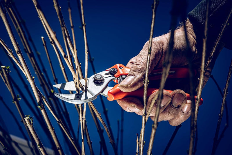 Original LÖWE 15 Anvil Pruning Shears 15.107 with Bypass Geometry for Small to Medium Hands - Curved, Non-Stick Coated Blade Ideal for Cutting Hard Wood like Linden, Spruce, Larch, and Oak Inward curved handle