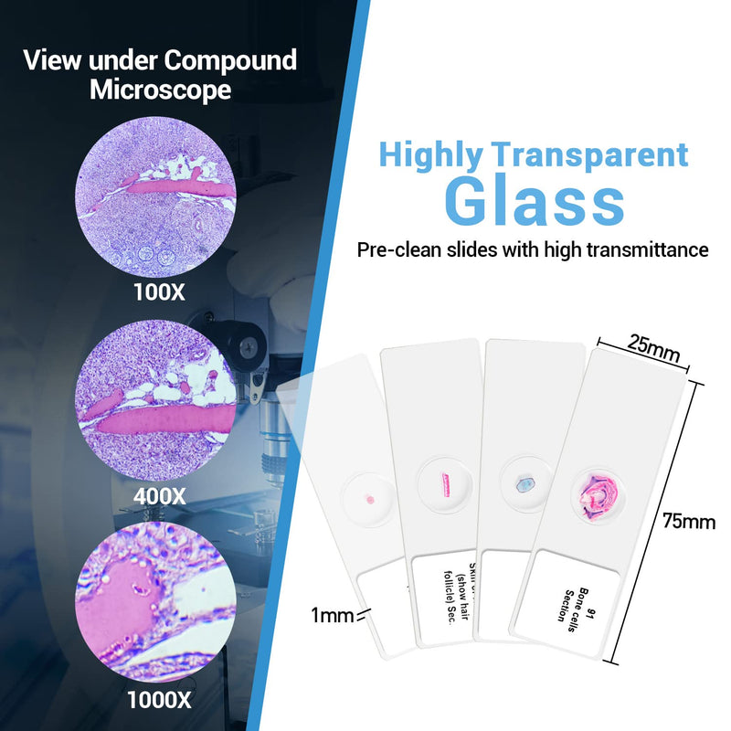 Prepared Microscope Slides with Specimens 100Pcs for Kids Students Science | Animal Plant Insect Specimens, Optical Glass with Labels, STEM Kit for Homeschool Classroom Lab & Science Education
