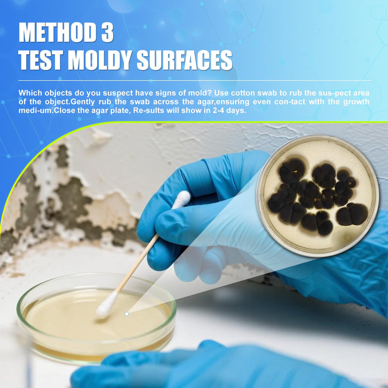 Mold Test Kit for Home,14 Simple Detection Tests,Test HVAC System,Home Surfaces, Indoor Air Quality Testing,DIY Mold Detector,Includes Detailed Mold Identification Guide,Black Mold Testing kit 14