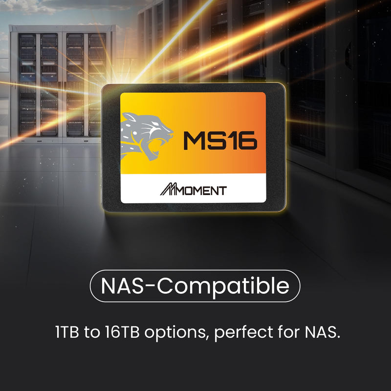 MMOMENT MS16 1TB 2.5 Inch SATA III 6 GB/s Internal Solid State Drive SSD (Read up to 550MB/s) Compatible with PC Desktop 2.5 in