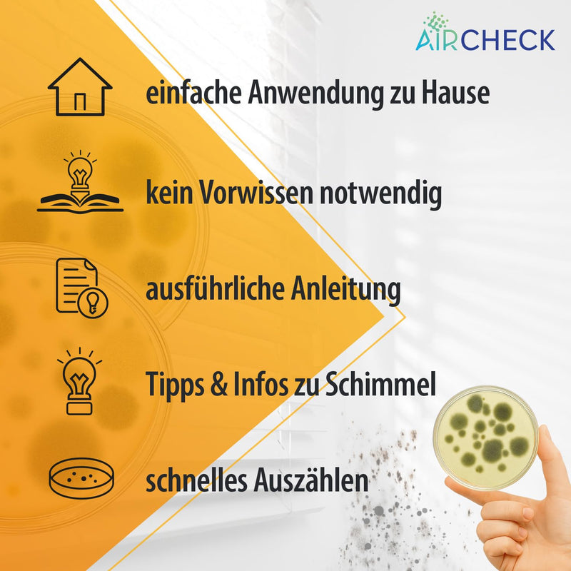 Mold Test for Home Use - 1 x Quick Mold Test for Determining Mold Infestation in Living Room | Determination of mold infestation in the living room