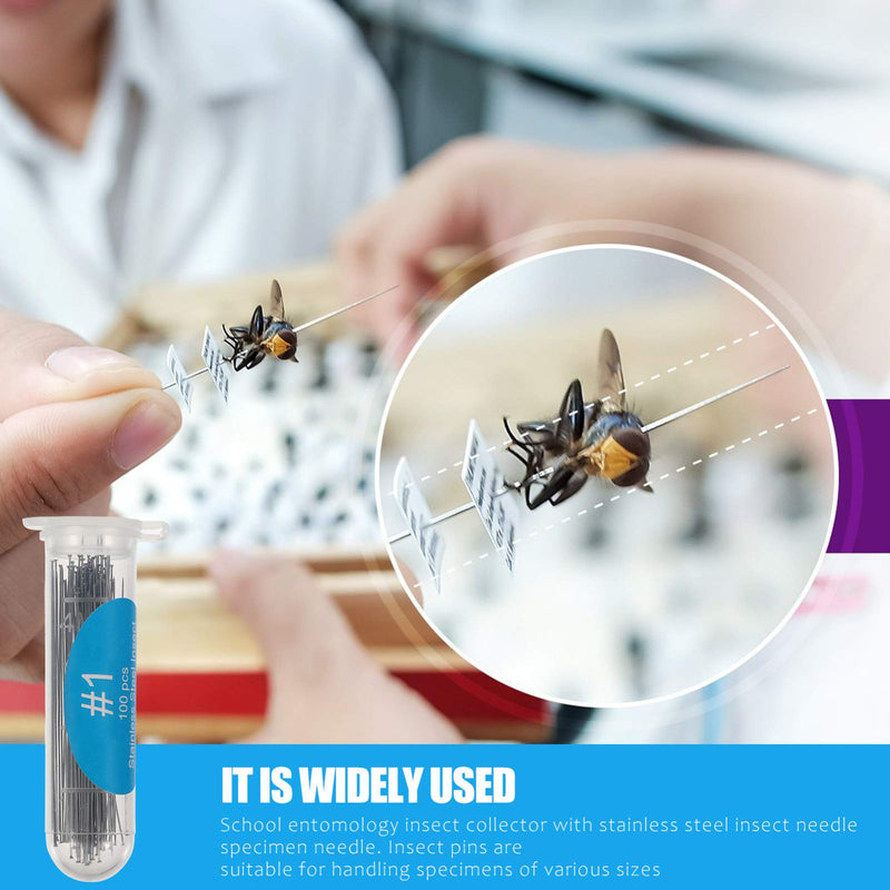 VILLCASE Pack of 100 Stainless Steel Insect Pens Sample Pens Entomology Needle Dissection and Butterfly Collections Needle for School Laboratory Entomology Preparation Butterfly Collector 1