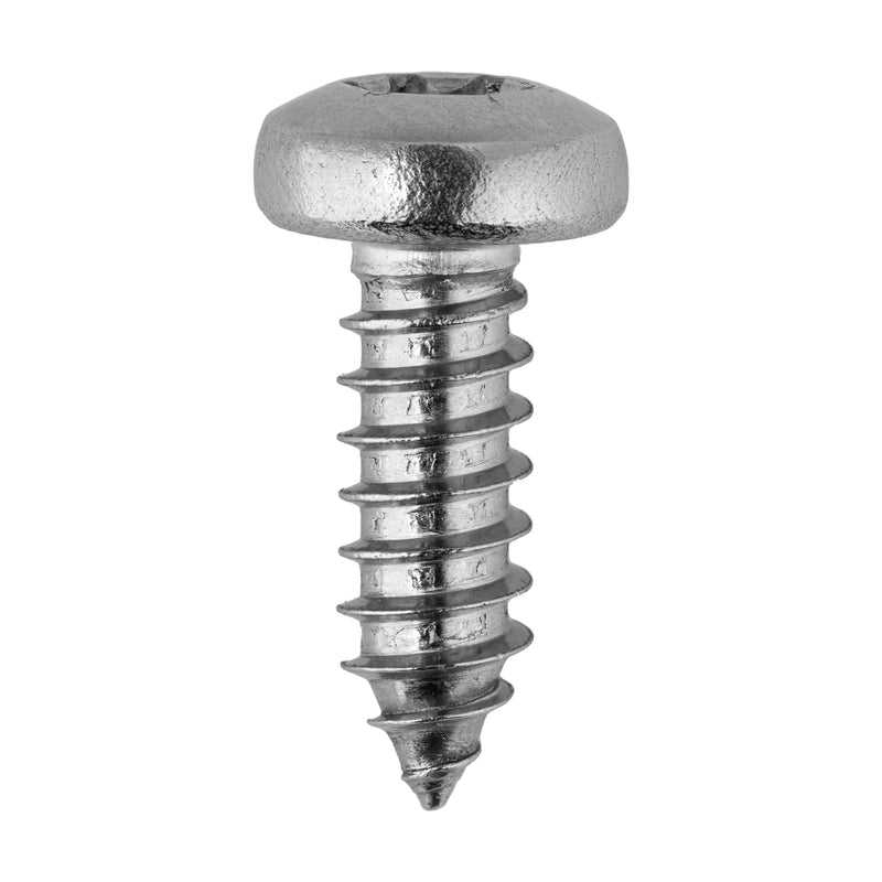 Stainless Security License Plate Screws (4 Pack) with Anti-Theft Torx Wrench, 18-8 Stainless Steel by Makers Bolt